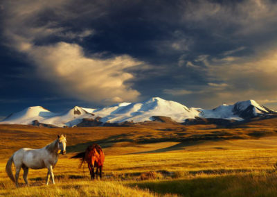 Mongolian-lansdcape