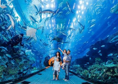 dubai-aquarium-zoo-030217.original