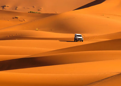 safari-por-el-desierto