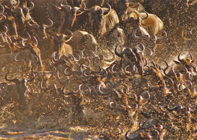 foto tanzania reserva de caza de selous