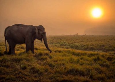 Sunset-in-chitwan-national-park